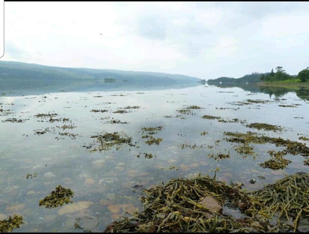 Quirky Lochside Home Inveraray Eksteriør billede